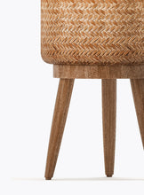 Load image into Gallery viewer, CACTUS